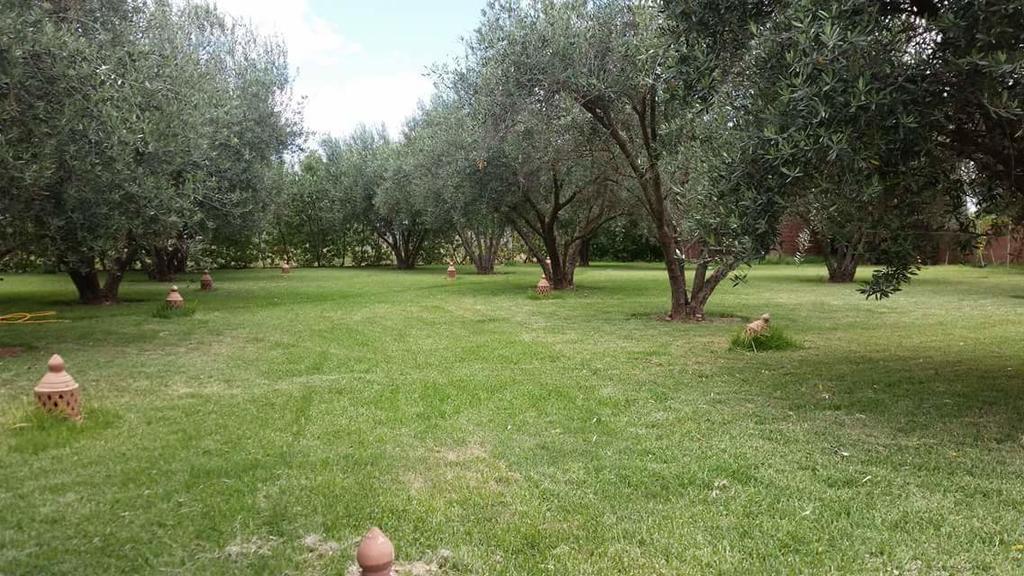 Riad Sidi Hicham Ouled Bouzid المظهر الخارجي الصورة