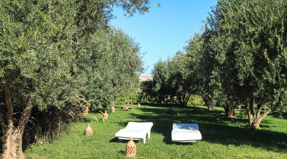 Riad Sidi Hicham Ouled Bouzid المظهر الخارجي الصورة