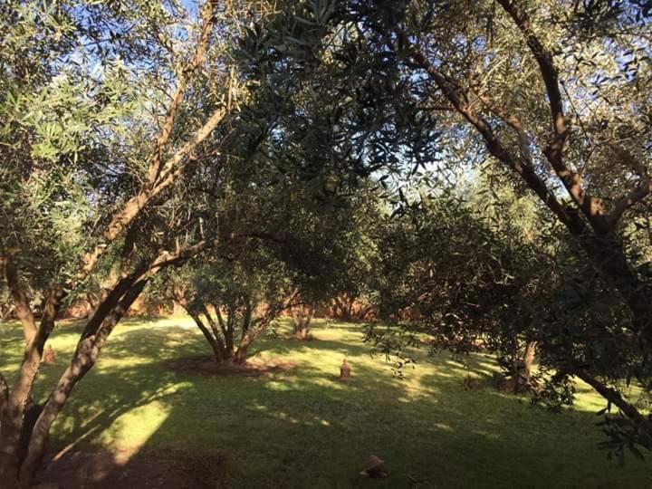 Riad Sidi Hicham Ouled Bouzid المظهر الخارجي الصورة